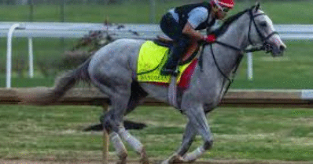 2025 Kentucky Derby horses