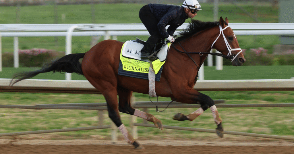2025 Kentucky Derby horses