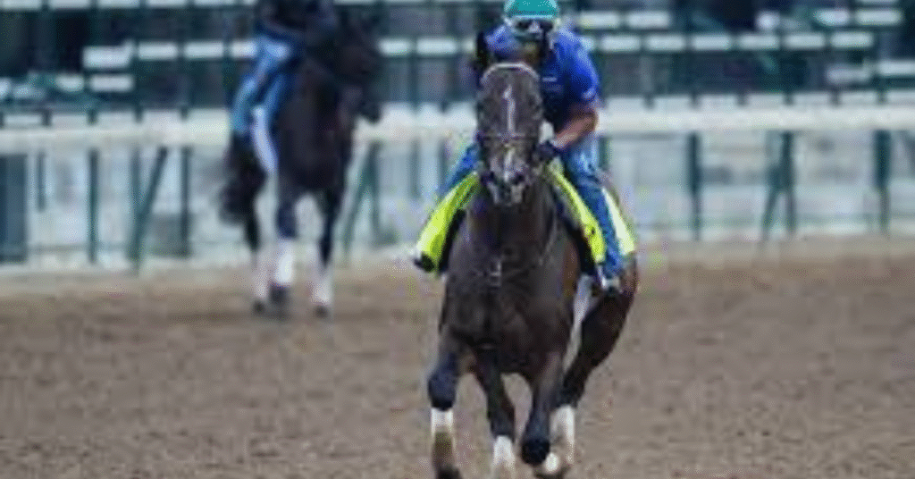 the 2025 Kentucky Derby